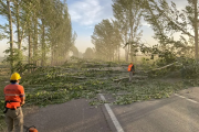 Temperatura baja y alerta por fuertes vientos en Mendoza