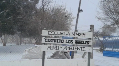 Ola polar: las escuelas más afectadas y los principales problemas para volver a clases