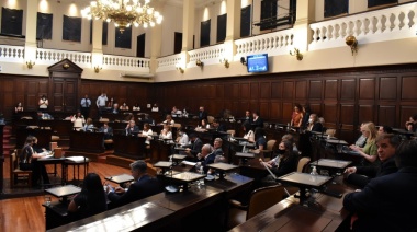 La denunciante de los rugbiers se presentará en la Legislatura este jueves
