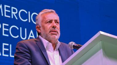 Alfredo Cornejo criticó a Javier Milei por sus comentarios sobre Raúl Alfonsín