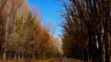 Tiempo en Mendoza: Pronóstico para el comienzo del otoño