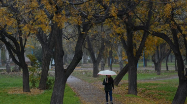 Tiempo en Mendoza: Miércoles parcialmente nublado y frío con descenso de temperatura