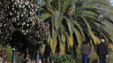 Tiempo en Mendoza: Buen clima y poco cambio de la temperatura
