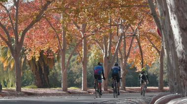 Tiempo en Mendoza: Domingo agradable con ascenso de temperatura