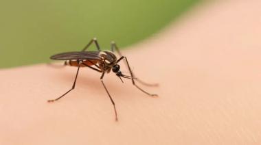 Dengue en Mendoza: se anticipó la temporada y ya hay siete casos