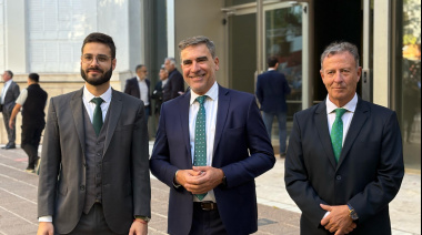 El Partido Verde denunció: "La baja en la tarifa eléctrica es una devolución encubierta, no un alivio real"