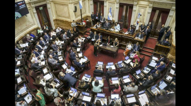 El Senado rechazó el proyecto Ficha Limpia